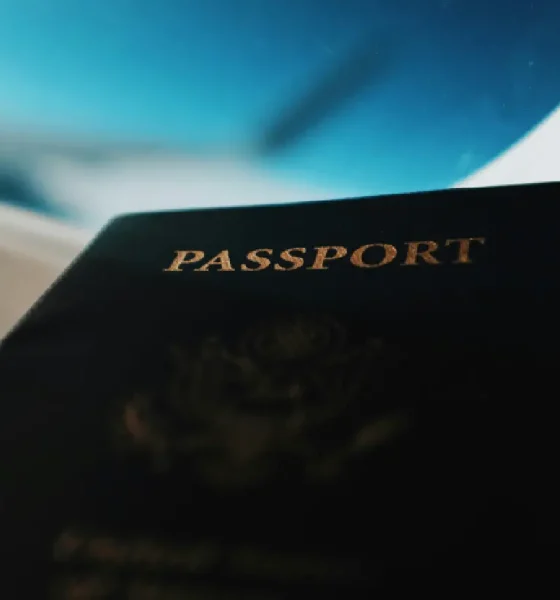 free 30 day uae visa