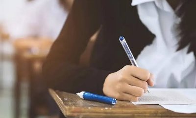 uae public school reforms 2026