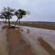 saudi weather alert