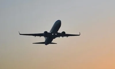 uae suspends iranian flights