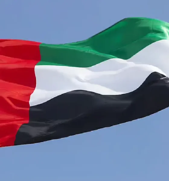 uae welcomes us call for sudan peace