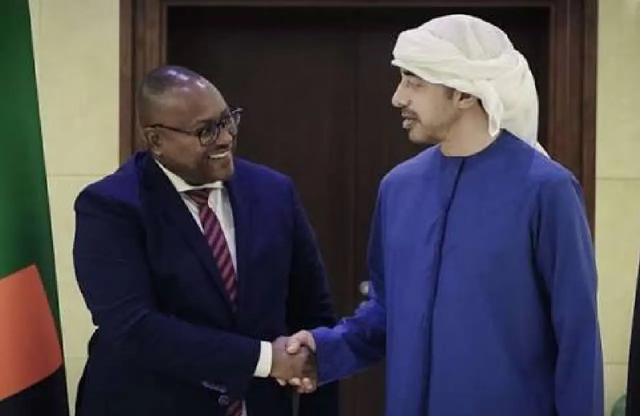 uae, zambia leaders hold talks
