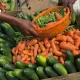 Dubai Food Security