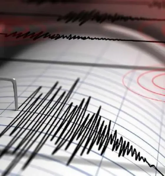 Fujairah Tremor 1.6