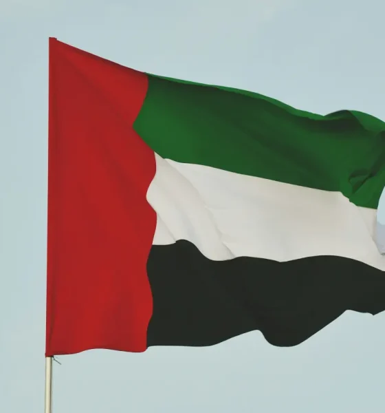 UAE regional de-escalation